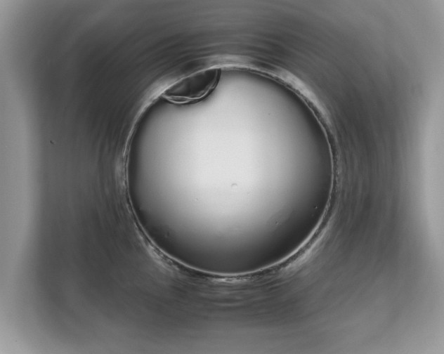 X0000111881145200907301132