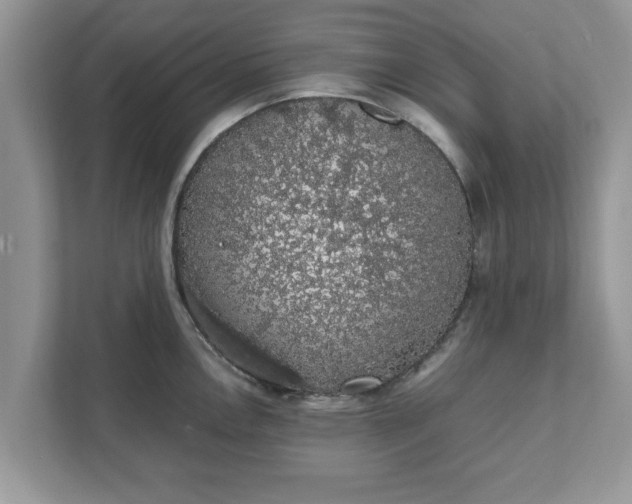 X0000111881146200907301132