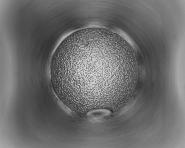 X0000111881148200907301132