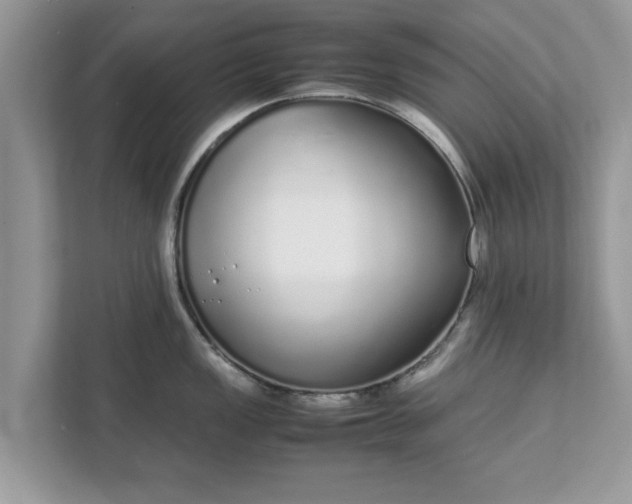 X0000111881149200907301132