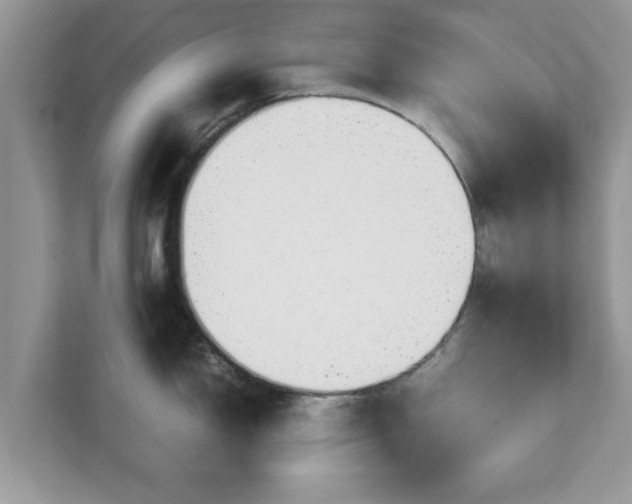 X0000111881150200907301132