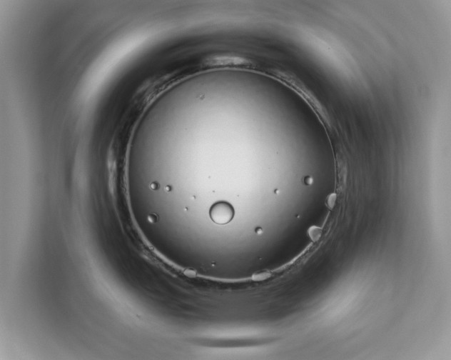 X0000111881151200907301132