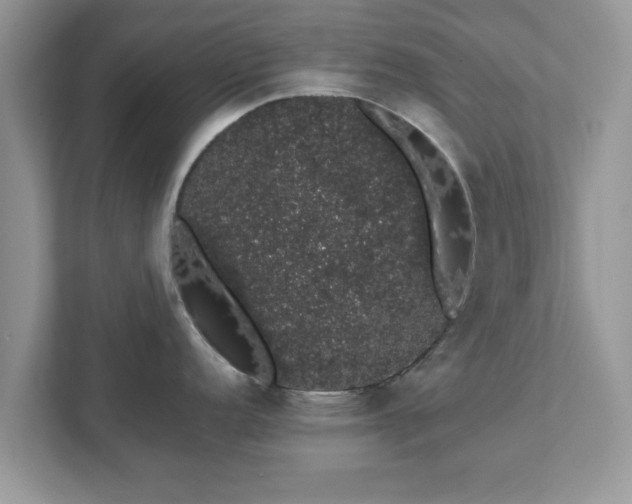 X0000111881152200907301132