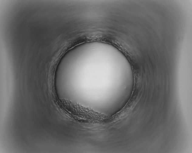X0000111881153200907301131
