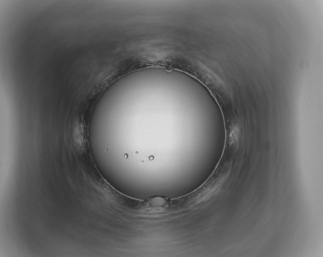 X0000111881156200907301131
