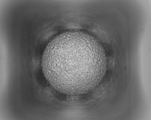 X0000111881157200907301131