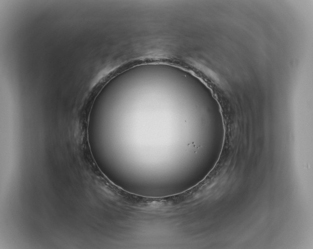 X0000111881160200907301131