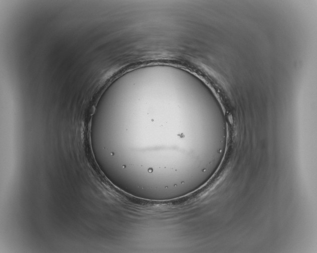 X0000111881161200907301131