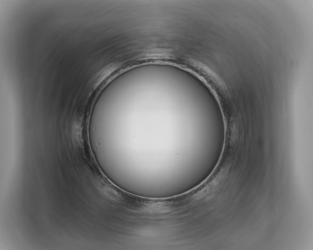 X0000111881162200907301131