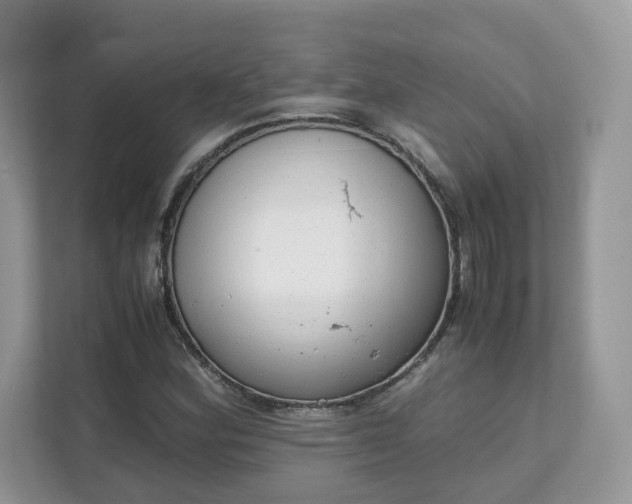 X0000111881164200907301131