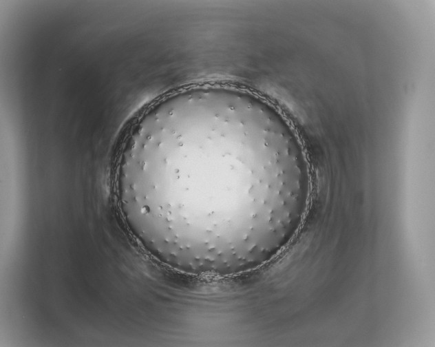 X0000111881165200907301131