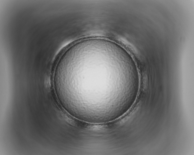 X0000111881166200907301131