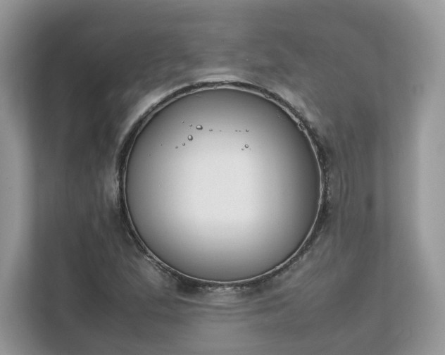 X0000111881167200907301131