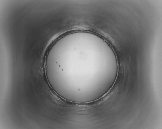 X0000111881168200907301131