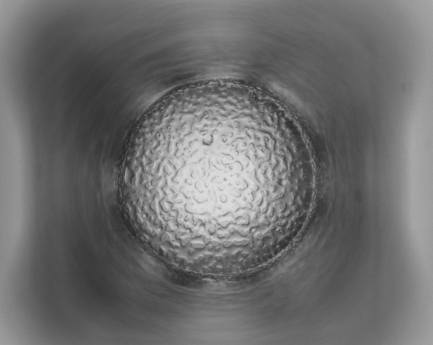 X0000111881169200907301131
