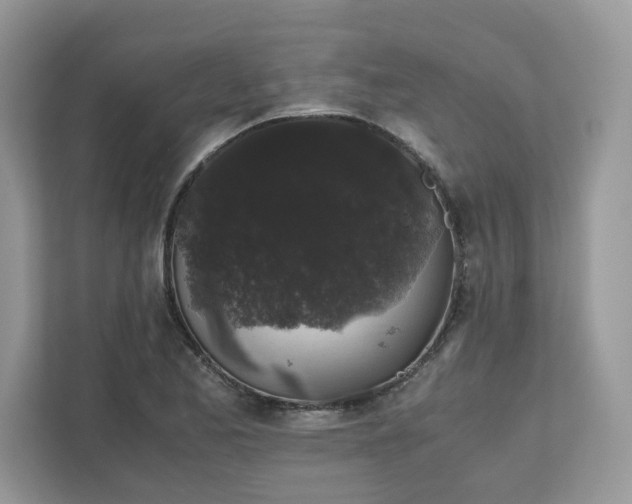 X0000111881173200907301131