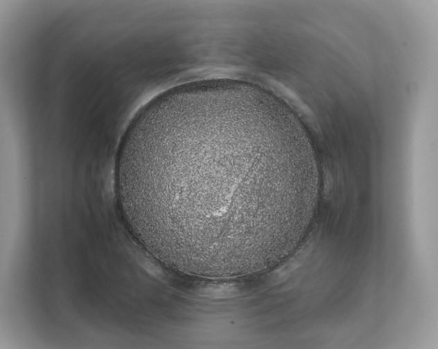 X0000111881174200907301131
