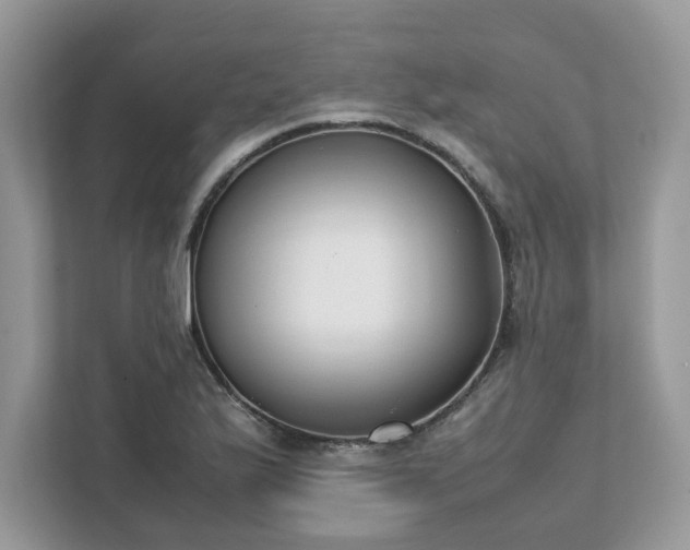 X0000111881175200907301131