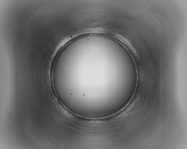 X0000111881176200907301131