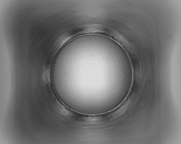 X0000111881177200907301131