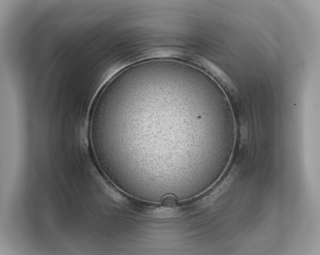 X0000111881178200907301131