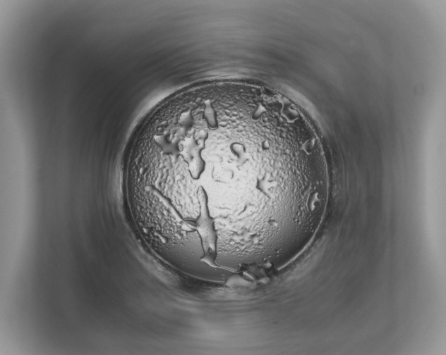 X0000111881179200907301131