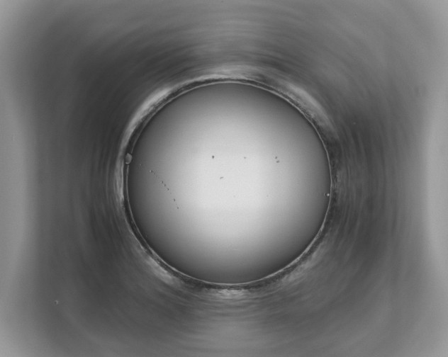 X0000111881180200907301131