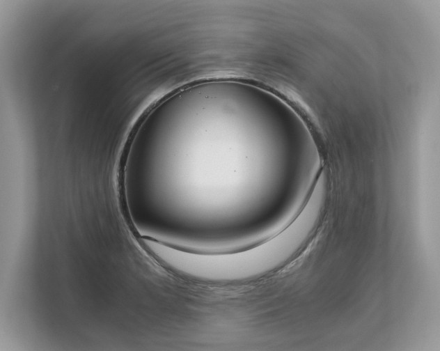 X0000111881181200907301131