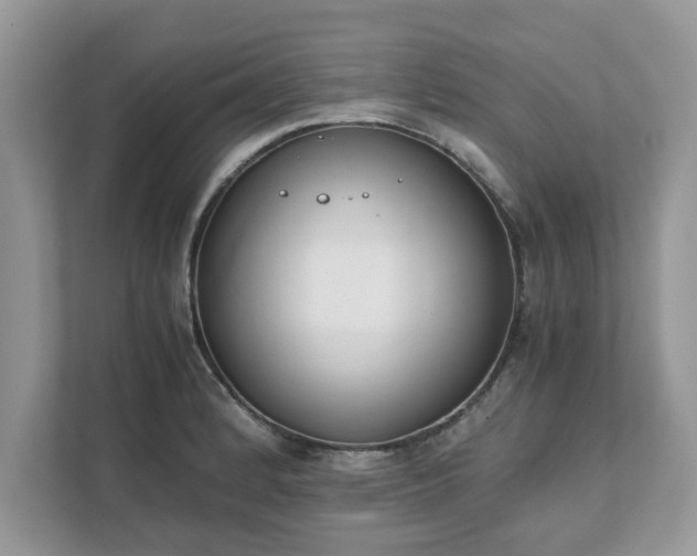 X0000111881184200907301131