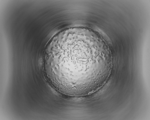 X0000111881185200907301131