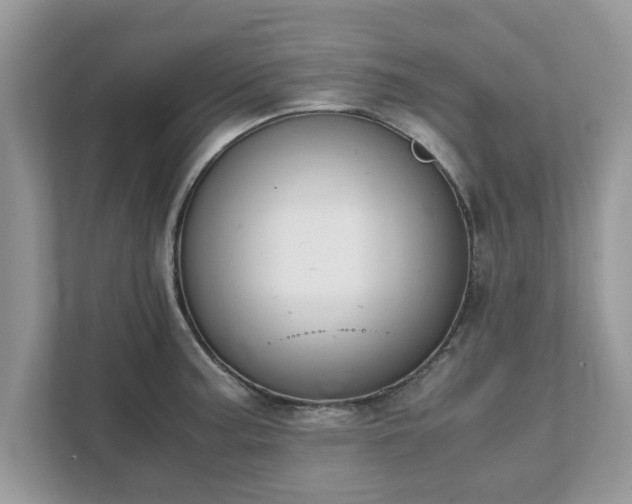 X0000111881187200907301131