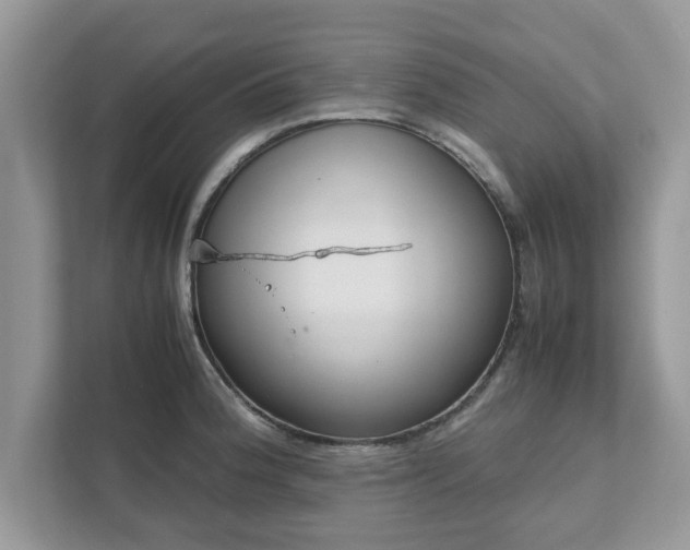 X0000111881188200907301131