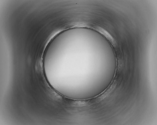X0000111881190200907301131