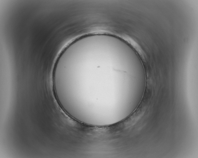 X0000111881191200907301131