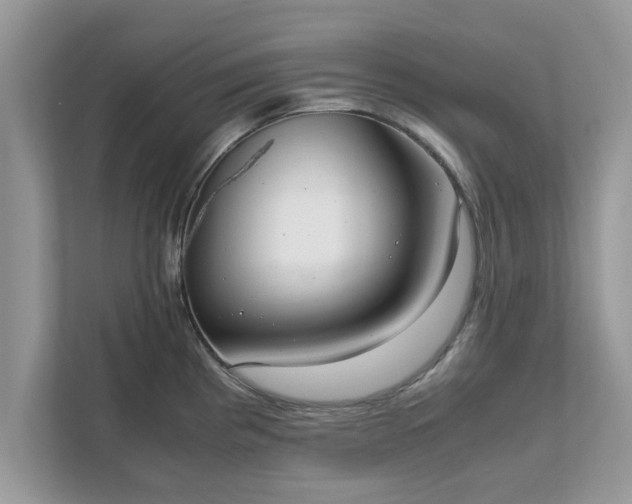 X0000111881193200907301131