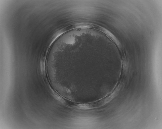 X0000111881194200907301131