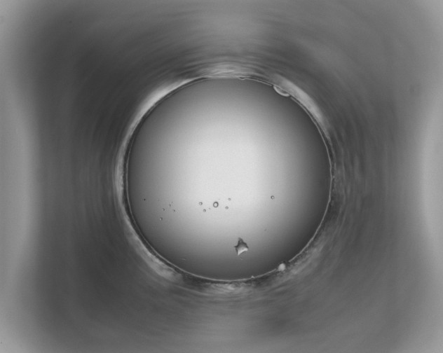 X0000111881195200907301131