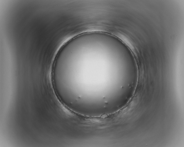 X0000111881197200907301131