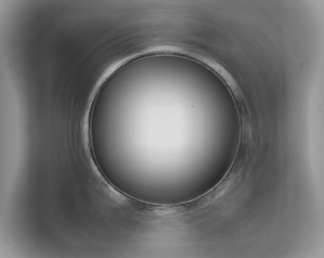X0000111881199200907301131