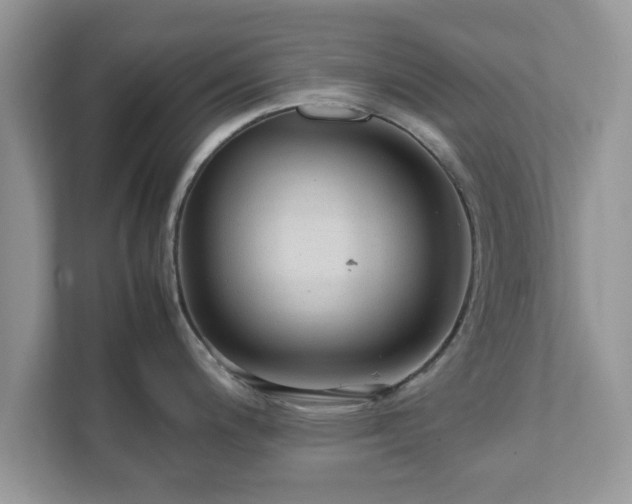 X0000111881200200907301131