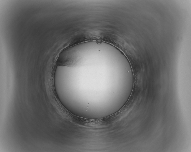 X0000111881201200907301130