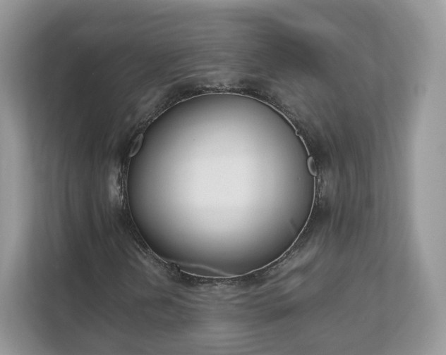 X0000111881202200907301130