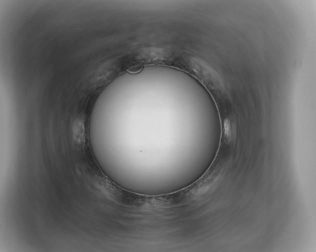 X0000111881203200907301130