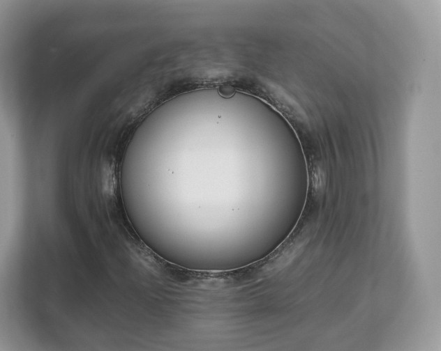 X0000111881204200907301130