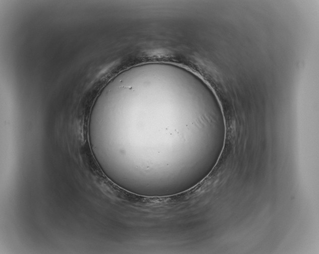 X0000111881205200907301130