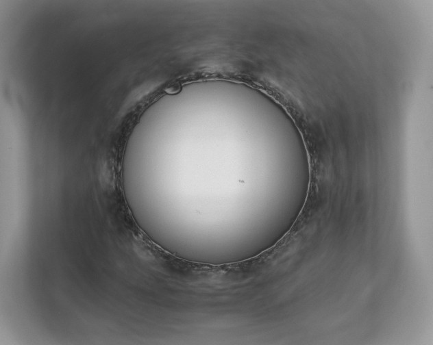 X0000111881207200907301130