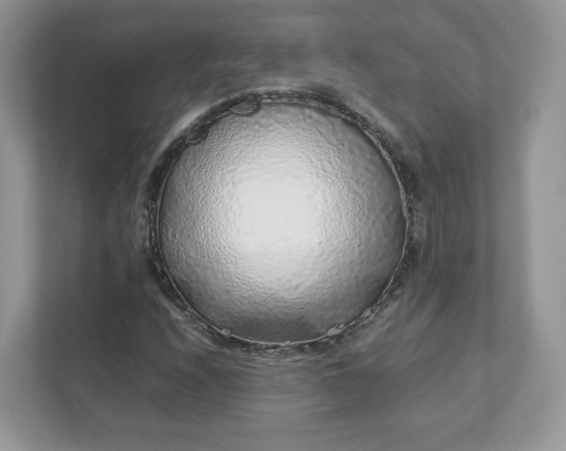 X0000111881208200907301130