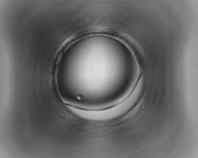 X0000111881210200907301130