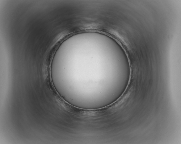 X0000111881211200907301130