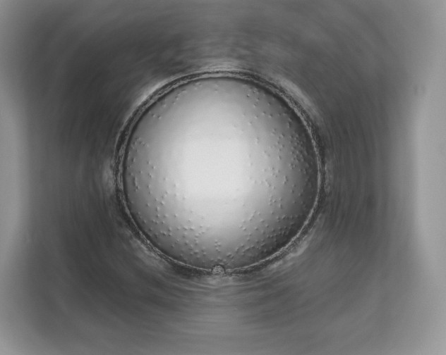 X0000111881212200907301130